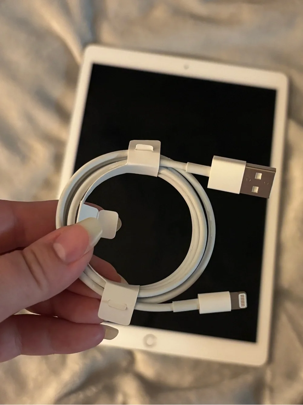 Apple iPad Pro 12.9-inch 1st Gen in Silver w/ Apple Lightning USB Cable